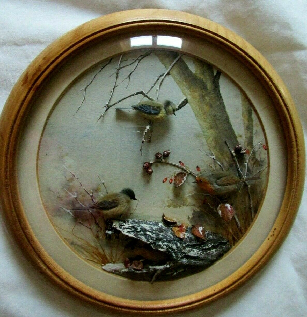 Blue Tit Marsh Tit Robin Mouse (7-inch)